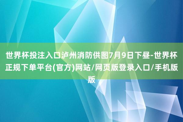 世界杯投注入口泸州消防供图7月9日下昼-世界杯正规下单平台(官方)网站/网页版登录入口/手机版
