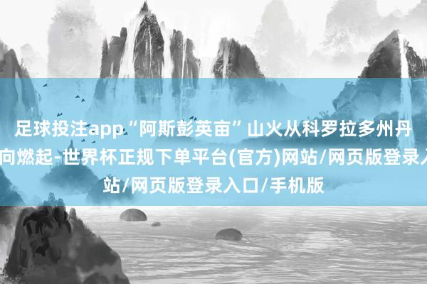 足球投注app“阿斯彭英亩”山火从科罗拉多州丹佛市西南边向燃起-世界杯正规下单平台(官方)网站/网页版登录入口/手机版
