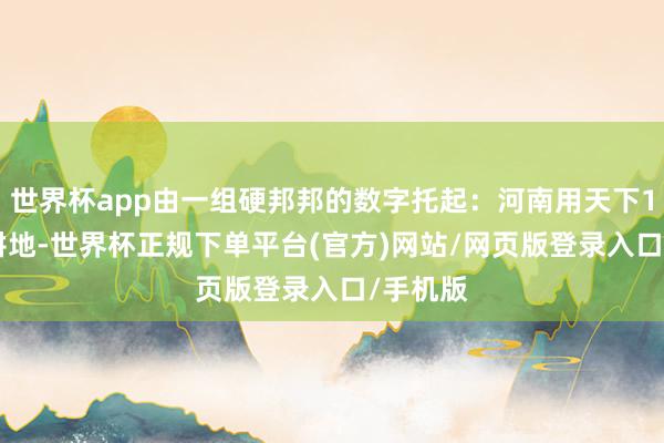世界杯app由一组硬邦邦的数字托起：河南用天下1/16的耕地-世界杯正规下单平台(官方)网站/网页版登录入口/手机版