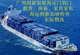 中国服装批发海运到新加坡 广州海运新加坡 拼箱海运