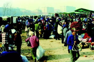 国庆特辑 中国服装市场70年大盘点
